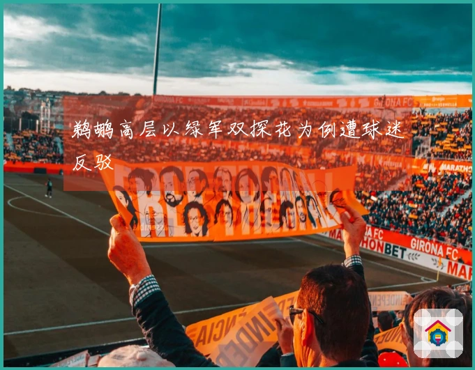 鹈鹕高层以绿军双探花为例遭球迷反驳