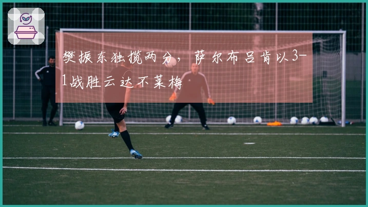 樊振东独揽两分，萨尔布吕肯以3-1战胜云达不莱梅