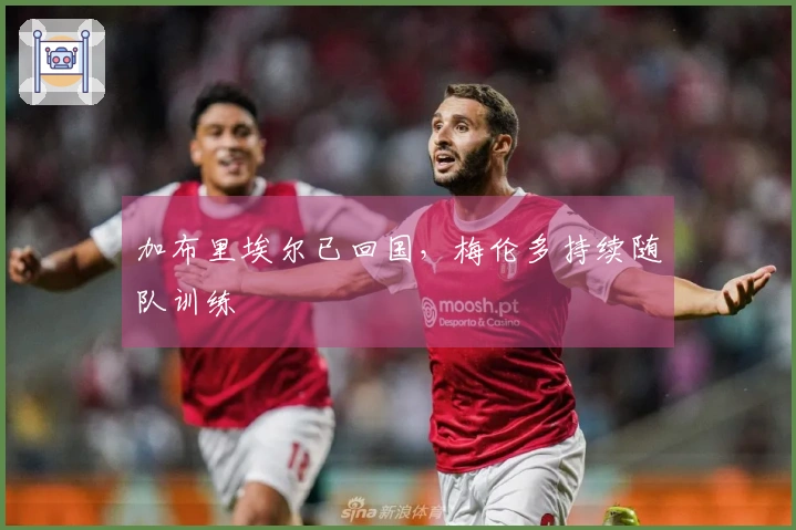 加布里埃尔已回国，梅伦多持续随队训练