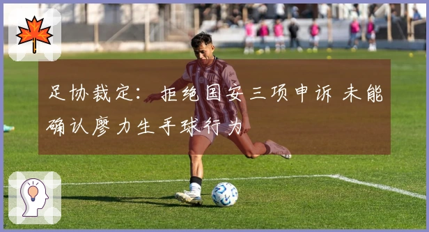 足协裁定：拒绝国安三项申诉 未能确认廖力生手球行为